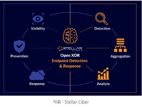 stellar ciber의 'edr' 시스템.